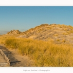 Quend_Plage_dunes_15_02_2015_002-border.jpg