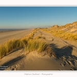Quend_Plage_dunes_15_02_2015_003-border.jpg