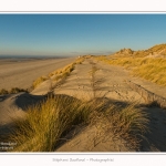 Quend_Plage_dunes_15_02_2015_006-border.jpg