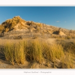 Quend_Plage_dunes_15_02_2015_008-border.jpg