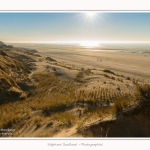 Quend_Plage_dunes_15_02_2015_010-border.jpg