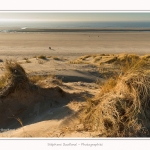 Quend_Plage_dunes_15_02_2015_011-border.jpg