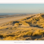 Quend_Plage_dunes_15_02_2015_012-border.jpg