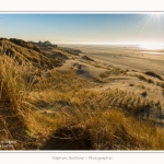 Quend_Plage_dunes_15_02_2015_016-border.jpg