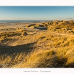 Quend_Plage_dunes_15_02_2015_020-border.jpg