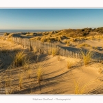 Quend_Plage_dunes_15_02_2015_021-border.jpg