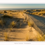 Quend_Plage_dunes_15_02_2015_022-border.jpg