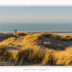 Quend_Plage_dunes_15_02_2015_026-border.jpg