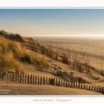 Quend_Plage_dunes_15_02_2015_028-border.jpg