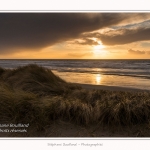 Quend_Plage_23_02_2015_001-border.jpg