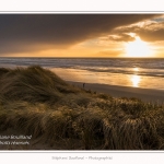 Quend_Plage_23_02_2015_002-border.jpg
