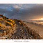 Quend_Plage_23_02_2015_005-border.jpg