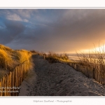 Quend_Plage_23_02_2015_006-border.jpg