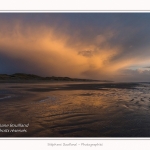 Quend_Plage_23_02_2015_014-border.jpg