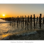 quend_bouchots_20_08_2013_005-border