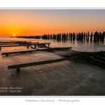 quend_bouchots_20_08_2013_020-border