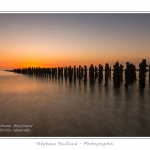 quend_bouchots_20_08_2013_026-border