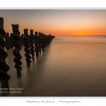 quend_bouchots_20_08_2013_028-border