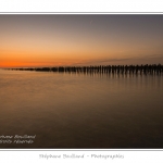quend_bouchots_20_08_2013_030-border