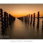 quend_bouchots_20_08_2013_032-border