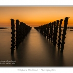 quend_bouchots_20_08_2013_033-border
