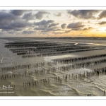 La plage à Quend-Plage (vue aérienne)