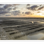 La plage à Quend-Plage (vue aérienne)