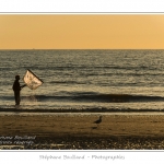 Pêcheur à pied en train de pêcher des crevettes grises avec un pousseu (filet qu'on pousse devant soi) - Saison : été - Lieu : Quend-Plage, Côte Picarde, Somme, Picardie, France.