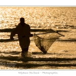 quend_crevette_20_08_2013_010-border