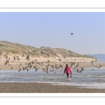 Quend-Plage - Plage dynamique après le confinement