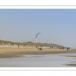 Char-à-cerf-volant sur la plage