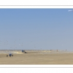 Char-à-cerf-volant sur la plage
