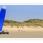 Char-à-cerf-volant sur la plage