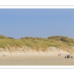 Char-à-cerf-volant sur la plage