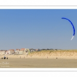 Char-à-cerf-volant sur la plage