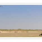 Char-à-cerf-volant sur la plage