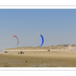 Char-à-cerf-volant sur la plage