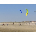 Char-à-cerf-volant sur la plage