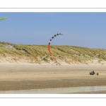 Char-à-cerf-volant sur la plage