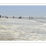 Ecume de mai sur la plage de Quend-Plage