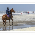 Gendarmes sur les  chevaux de la garde républicaine