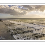 Les bouchots sur la plage de Quend