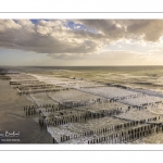 Les bouchots sur la plage de Quend