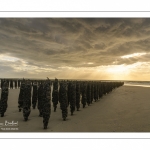 Les bouchots sur la plage de Quend