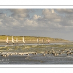 Les chars-à-voile sur la plage de Quend