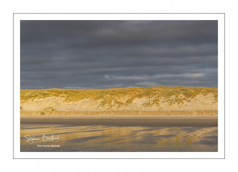 Les dunes éclairées par le soleil couchant