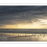 un soir sur la plage à Quend