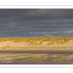 Les dunes éclairées par le soleil couchant