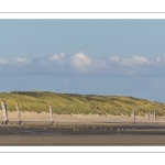 Chars-à-voile sur la plage de Quend