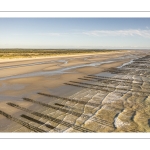 La plage de Quend avec ses bouchots et ses chars-à-voile